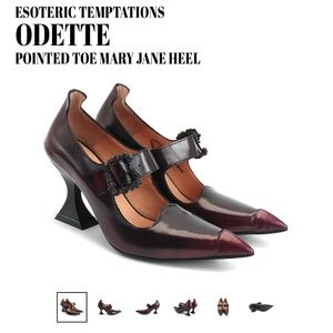 Burgundy Pointed Toe Mary Jane Heel